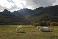 Territorio y naturaleza