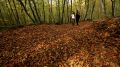 El corazón del Parque Natural de la Zona Volcánica de la Garrotxa