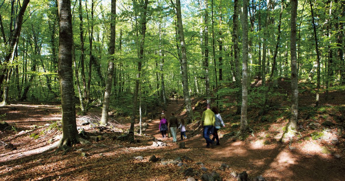 Parque Natural de la Zona Volcánica de la Garrotxa