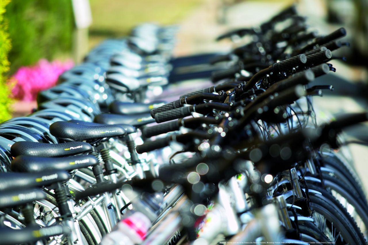 Empresas de guiaje y alquiler de bicicletas