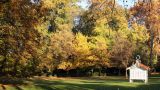 Parc Nou (Olot)