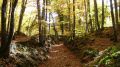 El corazón del Parque Natural de la Zona Volcánica de la Garrotxa