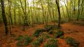 El corazón del Parque Natural de la Zona Volcánica de la Garrotxa