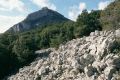 Sadernes - Puig de Bassegoda. Itinerari 5 Consorci Alta Garrotxa